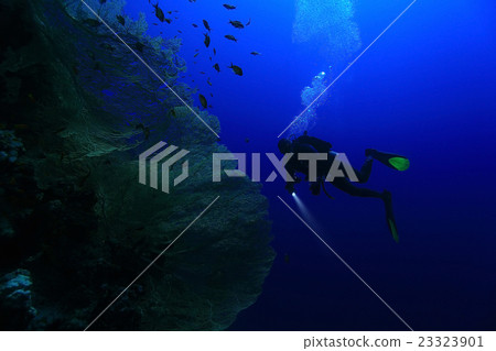 Stock Photo: One diver underwater