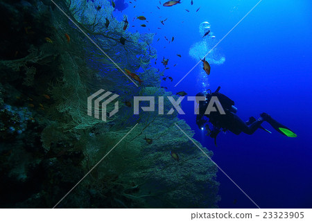 Stock Photo: One diver underwater