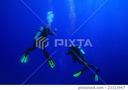 group of divers passing exams open water group of divers passing exams open water 23323947