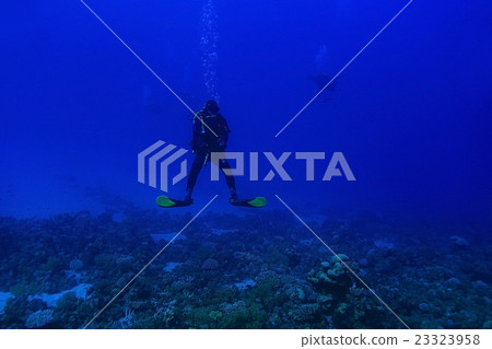 Stock Photo: One diver underwater