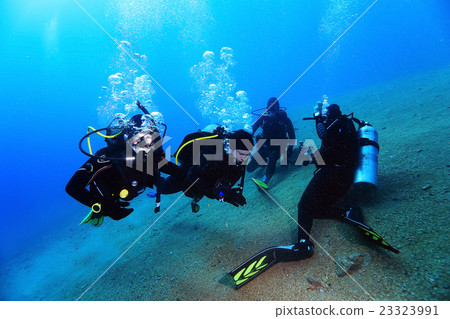 group of divers passing exams open water 23323991