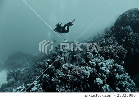 divers in fresh water 23323996
