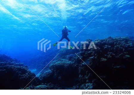 Stock Photo: One diver underwater