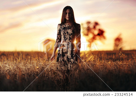girl sunset field sun glare girl sunset field sun glare 23324514