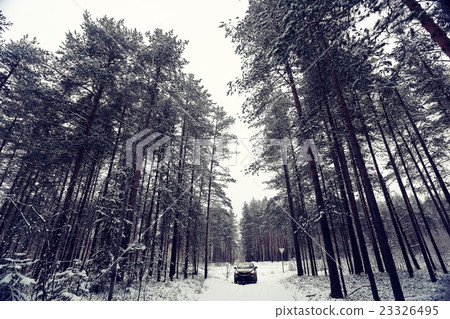 Winter landscape in the forest 23326495