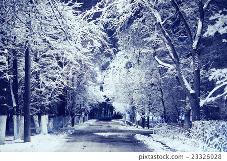 night landscape in winter city park night landscape in winter city park 23326928