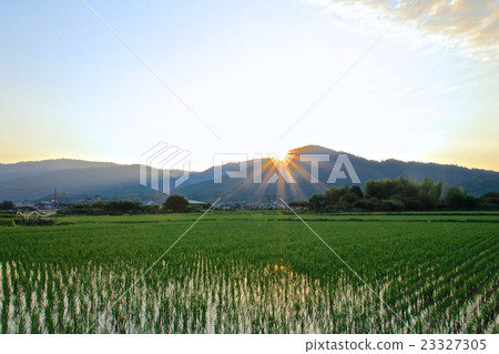 三輪山 23327305