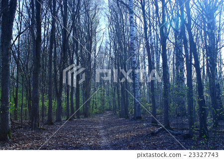 background spring park background spring park 23327743