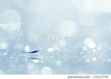 silver blurred background white circles silver blurred background white circles 23327744