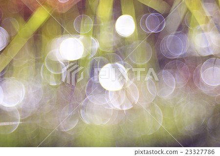 bokeh blurred background green grass leaves bokeh blurred background green grass leaves 23327786