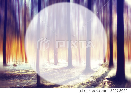 Spring forest background blur circle for text Spring forest background blur circle for text 23328091