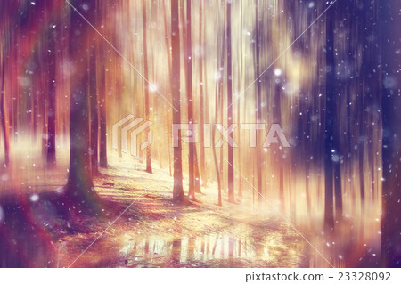 spring sun forest landscape in March spring sun forest landscape in March 23328092
