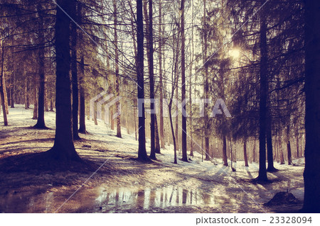 landscape forest eco March landscape forest eco March 23328094