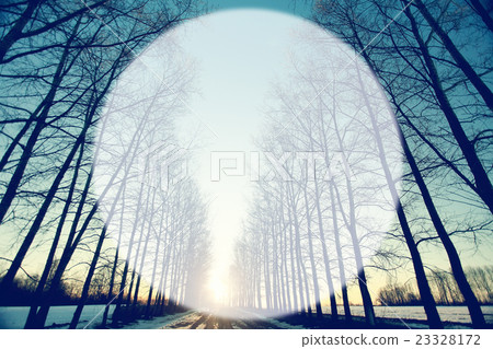 Spring forest background blur circle for text Spring forest background blur circle for text 23328172