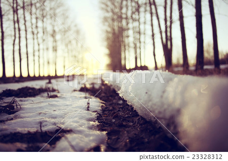 landscape forest eco March 23328312