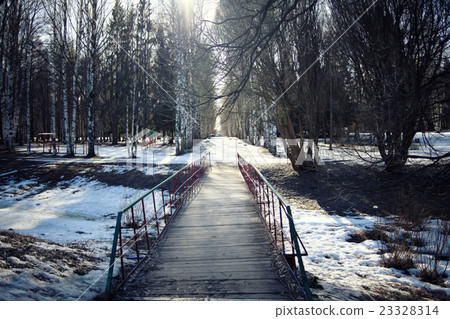 early spring landscape of the snow in the forest early spring landscape of the snow in the forest 23328314