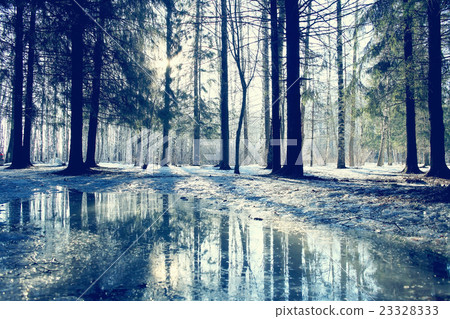 cool blue spring landscape trees nature background eco 23328333