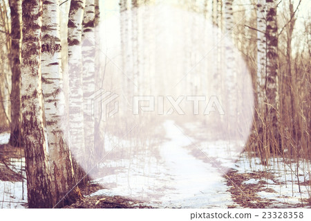 Spring forest background blur circle for text Spring forest background blur circle for text 23328358