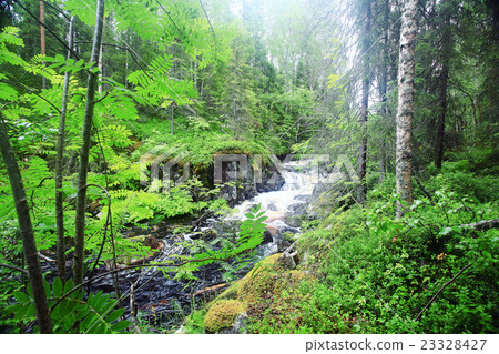 landscape in the spring forest small waterfall stream landscape in the spring forest small waterfall stream 23328427
