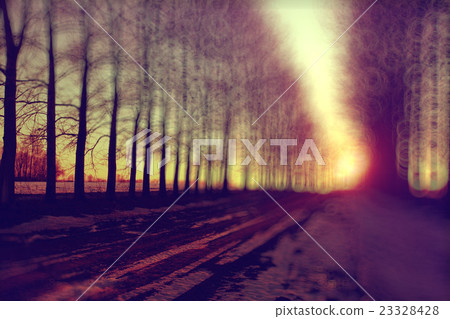 Forest in early spring sunset background Forest in early spring sunset background 23328428