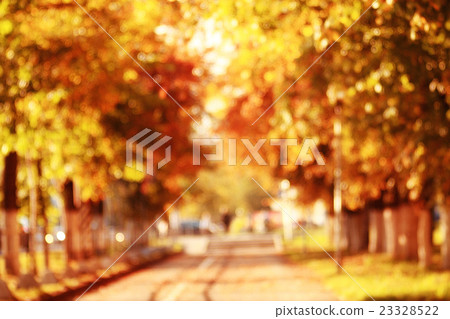 Autumn background with yellow leaves on the trees, blurred 23328522