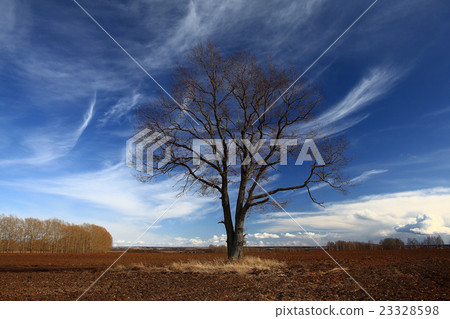 Early spring beautiful landscape Early spring beautiful landscape 23328598