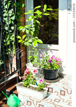 flower pots on the steps of the porch flower pots on the steps of the porch 23329039