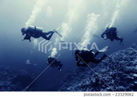 divers underwater the sea divers underwater the sea 23329062