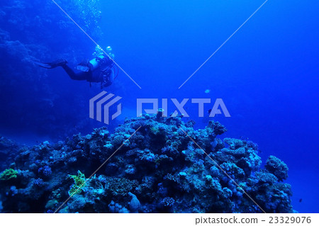 Stock Photo: One diver underwater