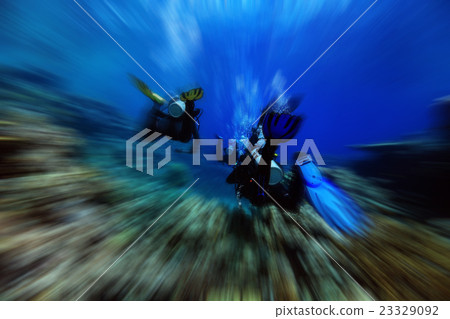 divers underwater the sea divers underwater the sea 23329092