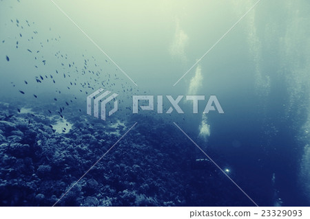 unusual photo diver underwater background unusual photo diver underwater background 23329093