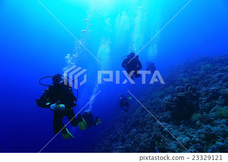 divers in fresh water 23329121