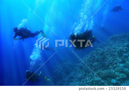 group of divers passing exams open water 23329150