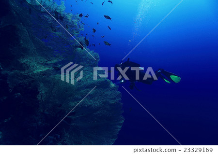 unusual photo diver underwater background unusual photo diver underwater background 23329169