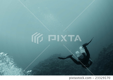 divers in fresh water 23329170