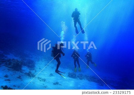 group of divers passing exams open water 23329175