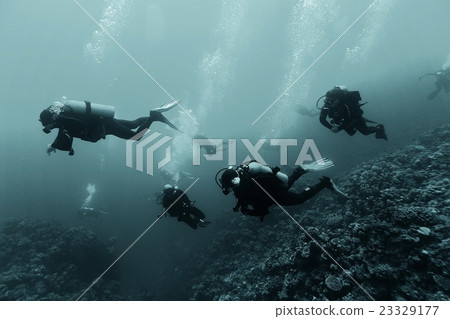 group of divers passing exams open water 23329177