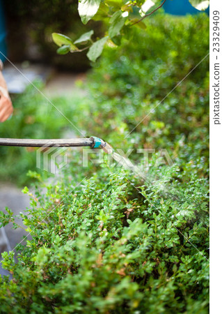 farmer spraying pesticide against pests in garden farmer spraying pesticide against pests in garden 23329409