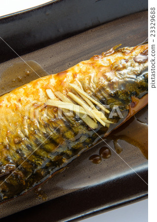 Boiled mackerel 23329688