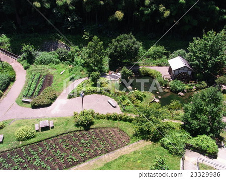 Kamiyano Water Park 23329986