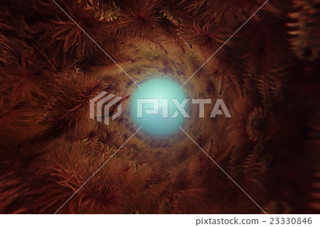 abstract background cave underwater algae 23330846