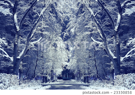 Night winter landscape in the alley of city park Night winter landscape in the alley of city park 23330858
