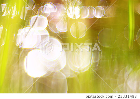 bokeh blurred background green grass leaves bokeh blurred background green grass leaves 23331488