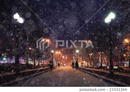Night winter landscape in the alley of city park 23332164