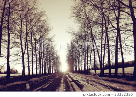 landscape road spring village in March landscape road spring village in March 23332350