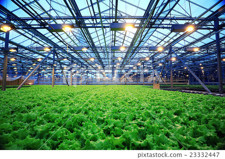 agribusiness greenhouse seedling spring agribusiness greenhouse seedling spring 23332447