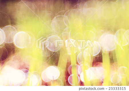 bokeh blurred background green grass leaves bokeh blurred background green grass leaves 23333315