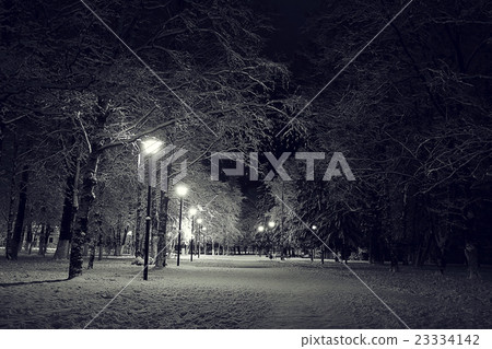 night landscape in winter city park night landscape in winter city park 23334142