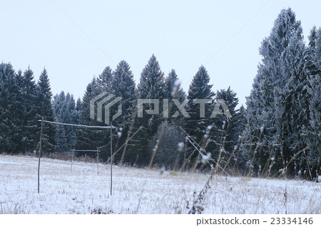 landscape winter forest in hoarfrost background 23334146