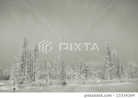 monochrome winter landscape monochrome winter landscape 23334164